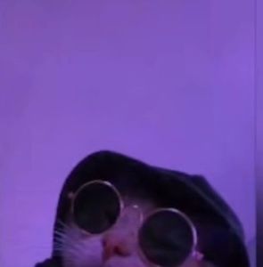 Meet your Posher, Marcel